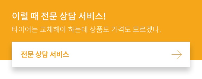 전문 상담 서비스
